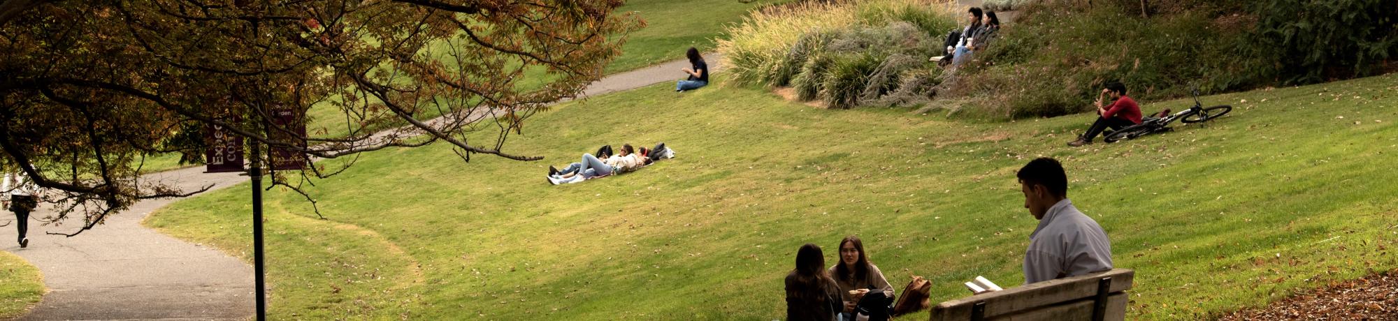 student studying under a tree in the arboretum